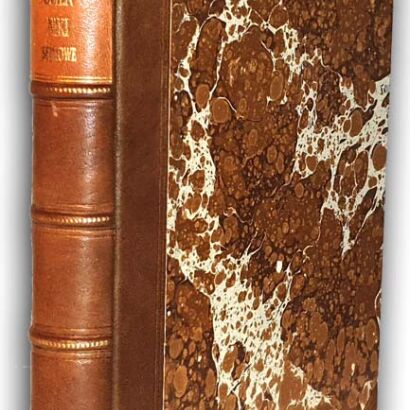 DZIENNIKI SEJMÓW WALNYCH KORONNYCH ZA PANOWANIA ZYGMUNTA AUGUSTA wyd. 1869