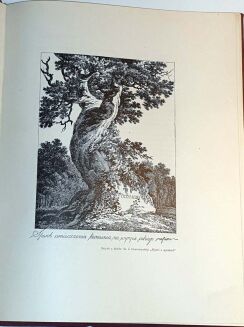 WASYLEWSKI- PORTRETY PAŃ WYTWORNYCH wyd. 1924r. - 4