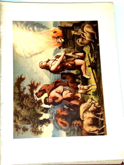 BIBLIA ZŁOTA KLASYKÓW t.1-2 wyd. 1898 OPRAWA - 14