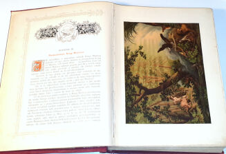 BIBLIA ZŁOTA KLASYKÓW t.1-2 wyd. 1898 OPRAWA - 15