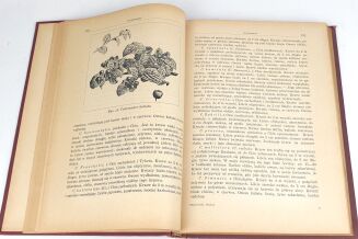 MAKOWIECKI - DRZEWA I KRZEWY OZDOBNE wyd. 1937 - 4