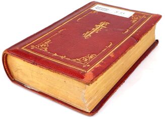 ALPIŃSKI- OJCIEC I SYN wyd. 1912 skóra z epoki - 3