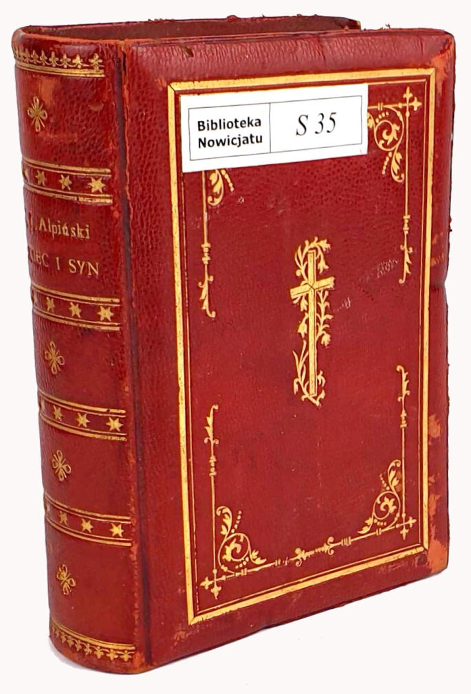 ALPIŃSKI- OJCIEC I SYN wyd. 1912 skóra z epoki
