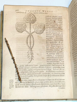 WEIRI - OPERA OMINA. AURORUM CONTENTA VERSA PAGINA EXHIBET. EDITO NOVA & HACTENUS DESIDERATA. ACCEDUNT INDICES RERUM & VERBORUM COPIOSISSIMI … Amsterdamie 1660. Młot na czarownice, medycyna - 5
