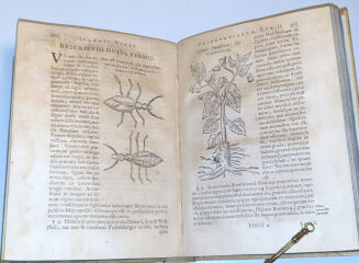 WEIRI - OPERA OMINA. AURORUM CONTENTA VERSA PAGINA EXHIBET. EDITO NOVA & HACTENUS DESIDERATA. ACCEDUNT INDICES RERUM & VERBORUM COPIOSISSIMI … Amsterdamie 1660. Młot na czarownice, medycyna - 7