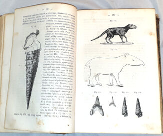 SCHOEDLER- KSIĘGA PRZYRODY t.2 wyd. 1867 - 5