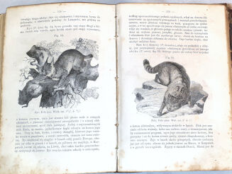 SCHOEDLER- KSIĘGA PRZYRODY t.2 wyd. 1867 - 7