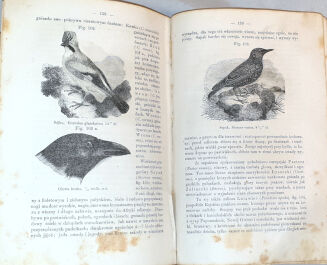 SCHOEDLER- KSIĘGA PRZYRODY t.2 wyd. 1867 - 8