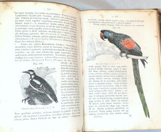 SCHOEDLER- KSIĘGA PRZYRODY t.2 wyd. 1867 - 9