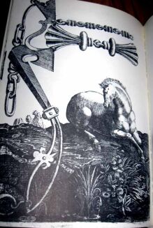 DOROHOSTAJSKI- HIPPICA to iest o koniach xięgi wyd. 1603 [reprint] - 4