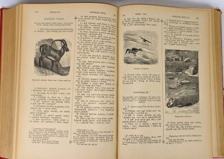 WUJEK - PISMO ŚWIĘTE STAREGO I NOWEGO TESTAMENTU wg. przekładu J. WUJKA  1000 ilustracji Tom I-III [komplet] PIĘKNA OPRAWA - 13