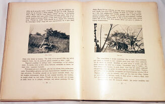 SAPIEHA- WULKANY KIVU. WSPOMNIENIA Z PODRÓŻY wyd. 1934r. - 5