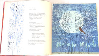 SZUCHOWA- DZIWIĘ SIĘ ŚWIATU wyd.1 z 1966 - 3