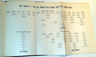 LOWE- HODOWLA KONI WYŚCIGOWYCH Kraków 1898 - 3