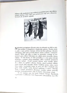 BADENI - SZCZĘŚLIWE DNI Urywki z pamiętnika myśliwskiego 1930. - 5