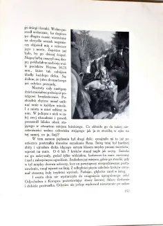 BADENI - SZCZĘŚLIWE DNI Urywki z pamiętnika myśliwskiego 1930. - 8