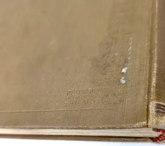 BADENI - SZCZĘŚLIWE DNI Urywki z pamiętnika myśliwskiego 1930. - 9