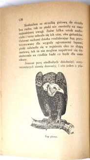 KORSAK - KU INDYJSKIEJ RUBIEŻY łowiectwo - 6