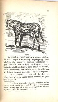 KORSAK - KU INDYJSKIEJ RUBIEŻY łowiectwo - 8