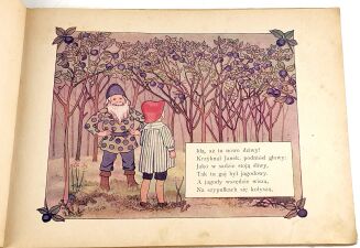 KONOPNICKA - NA JAGODY! Pierwsze wydanie, bardzo rzadkie! 1903 - 7