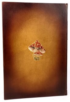 Lewis Carroll - Alice In Wonderland Illustrated limited edition, premium leather binding - 5