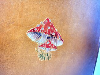 Lewis Carroll - Alice In Wonderland Illustrated limited edition, premium leather binding - 6