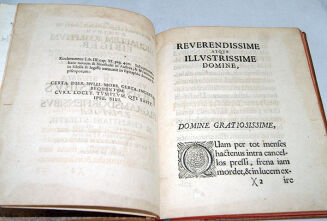 STIEFF- AD REVERENDISSI ATQUE ILLUSTRISS DOMINUM  [...] DE URNIS IN SILESIAE LIGNICENSIBUS ATQUE PILGRAMSDORFIENSIBUS wyd. 1704 ryciny - 6