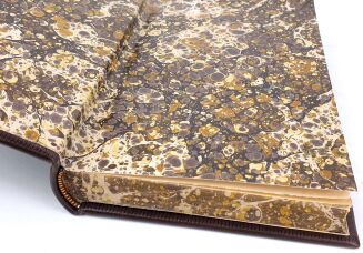 SZCZEPKOWSKI - WŁADCY KNIEI Obrazki myśliwskie Iustracje, oprawa luksusowa skóra - 3