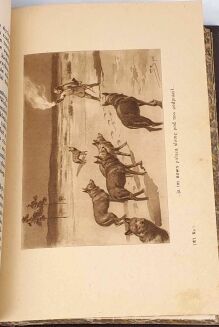 SZCZEPKOWSKI - WŁADCY KNIEI Obrazki myśliwskie Iustracje, oprawa luksusowa skóra - 6