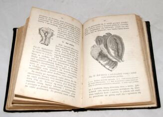 ROSENTHAL - PORADNIK LEKARSKI DLA KOBIET [ginekologia] wyd. 1875r. RYCINY - 5