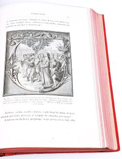 VEUILLOT- JEZUS CHRYSTUS wyd.1877  - 10