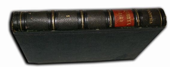 WOŁOWSKA- HISTORYA POLSKA t.1 Paryż w Drukarni Martinet 1860r.