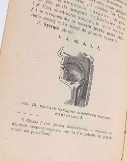 TENNER - TECHNIKA ŻYWEGO SŁOWA, 1906 [20 rycin] głos, zboczenia i błędy mowy - 3