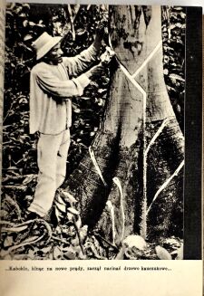 FIEDLER- ZDOBYWAMY AMAZONKĘ wyd.1 z 1937 - 8