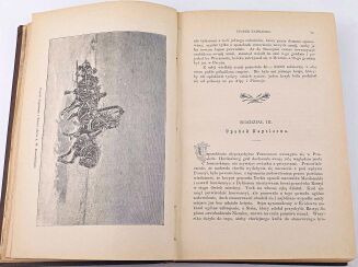 LEIXNER- WIEK XIX t.1-2 (komplet w 2wol.) - 5