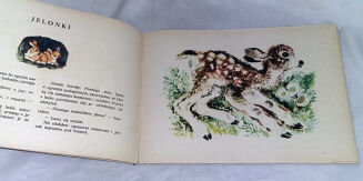 CZARUSZYN- ZWIERZĄTKA wyd. 1954 - 5