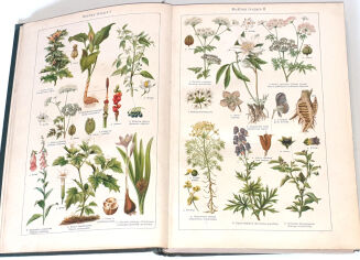 FRANCK- PORADNIK LEKARSKI DLA WSZYSTKICH wyd. 1932 - 2