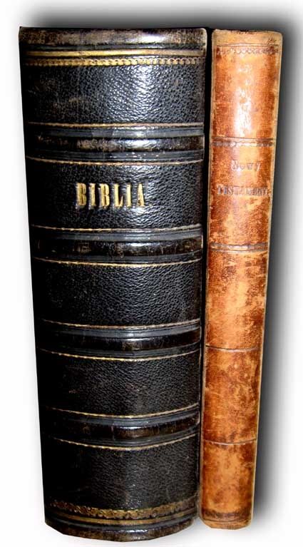 WUJEK- BIBLIA to jest KSIĘGI STAREGO I NOWEGO TESTAMENTU wyd. 1858-60