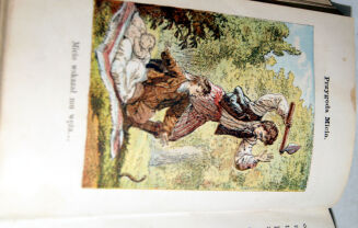 ZALESKA- LISTKI I ZIARNKA wyd. 1874 barwne ryciny - 5