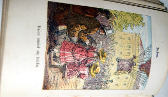 ZALESKA- LISTKI I ZIARNKA wyd. 1874 barwne ryciny - 6