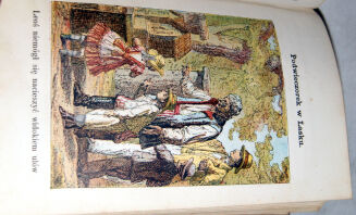 ZALESKA- LISTKI I ZIARNKA wyd. 1874 barwne ryciny - 7