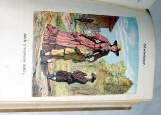 ZALESKA- LISTKI I ZIARNKA wyd. 1874 barwne ryciny - 8