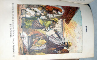 ZALESKA- LISTKI I ZIARNKA wyd. 1874 barwne ryciny - 9