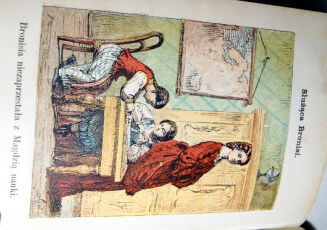 ZALESKA- LISTKI I ZIARNKA wyd. 1874 barwne ryciny - 10