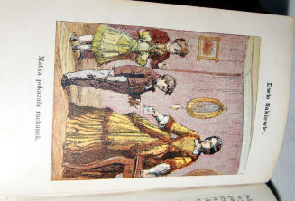 ZALESKA- LISTKI I ZIARNKA wyd. 1874 barwne ryciny - 11