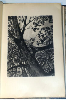 Weyssenhoff- PUSZCZA- il. MACKIEWICZ wyd. 1930r. - 6