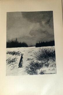 Weyssenhoff- PUSZCZA- il. MACKIEWICZ wyd. 1930r. - 8