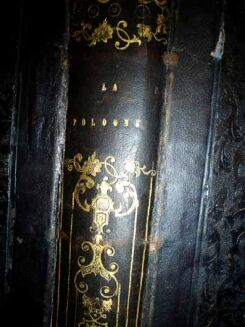 CHODŹKO- LA POLOGNE wyd. 1844-5 STALORYTY - 3