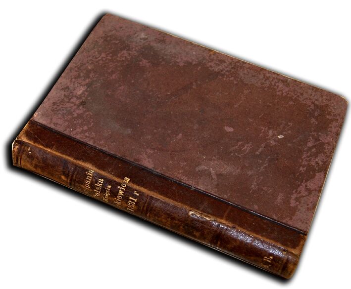 KAMPANIA POLSKA KSIĘCIA PASKIEWICZA w 1831r. półskórek wyd. 1899r.