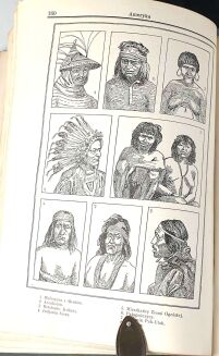 WIELKA ILUSTROWANA ENCYKLOPEDIA POWSZECHNA GUTENBERGA t. I-XXII [komplet] - 6